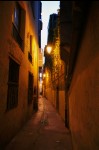 photo No. IMG_6105