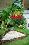 photo No. IMG_6381