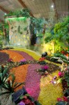 photo No. IMG_6382