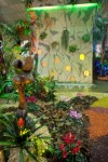 photo No. IMG_6385