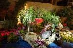 photo No. IMG_6387