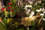 photo No. IMG_6390