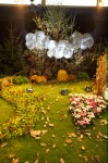 photo No. IMG_6392