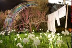 photo No. IMG_6393