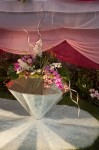 photo No. IMG_6394
