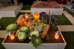 photo No. IMG_6398