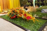 photo No. IMG_6401
