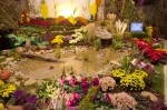 photo No. IMG_6412