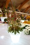 photo No. IMG_6413
