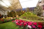 photo No. IMG_6414