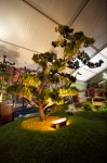photo No. IMG_6415