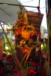 photo No. IMG_6416