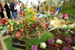 photo No. IMG_6419
