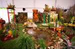 photo No. IMG_6425