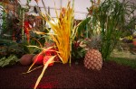 photo No. IMG_6426