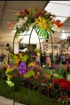 photo No. IMG_6429