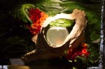 photo No. IMG_6440