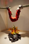 photo No. IMG_6444