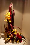 photo No. IMG_6445