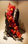 photo No. IMG_6447
