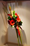 photo No. IMG_6448
