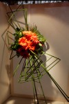 photo No. IMG_6449