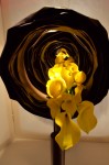 photo No. IMG_6450