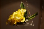 photo No. IMG_6452