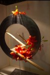 photo No. IMG_6453