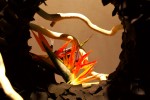 photo No. IMG_6454