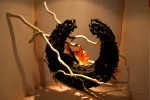 photo No. IMG_6455