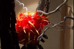 photo No. IMG_6456