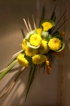 photo No. IMG_6457
