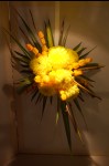 photo No. IMG_6458