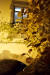 photo No. IMG_6852