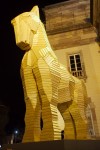 photo No. IMG_6973