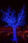 photo No. IMG_7029