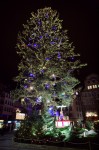photo No. IMG_7039