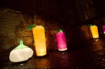 photo No. IMG_7100