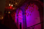 photo No. IMG_7106