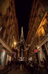 photo No. IMG_7159