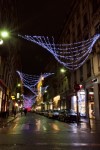 photo No. IMG_7171