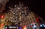 photo No. IMG_7173