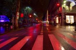 photo No. IMG_7175