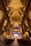 photo No. IMG_7221