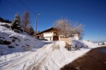photo No. IMG_7499