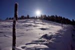 photo No. IMG_7504
