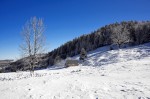 photo No. IMG_7505