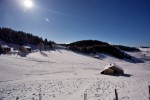 photo No. IMG_7509