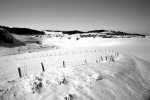 photo No. IMG_7517